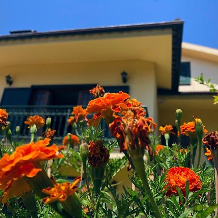 Casa Sao Simao Villa Barcelos Dış mekan fotoğraf