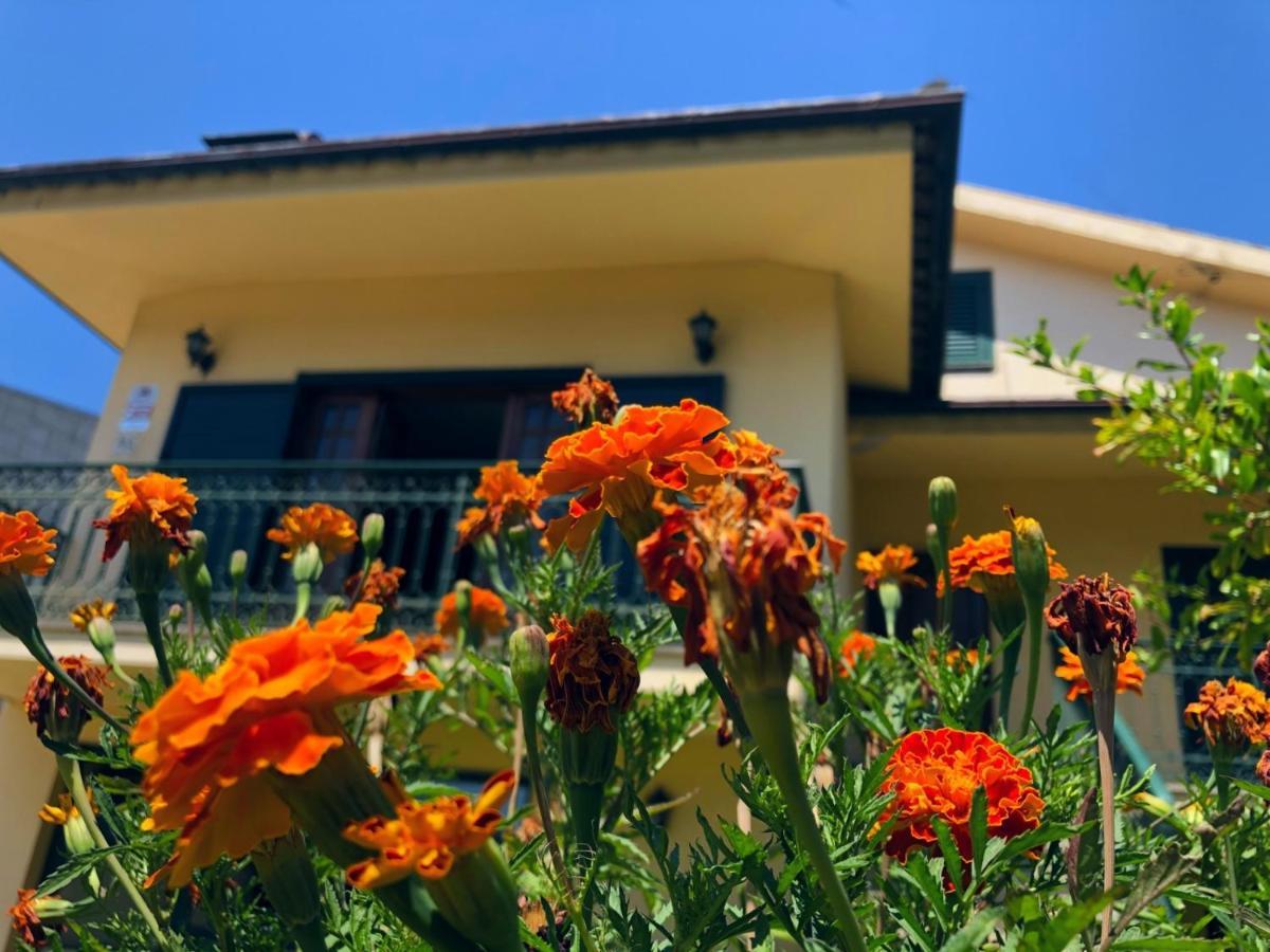 Casa Sao Simao Villa Barcelos Dış mekan fotoğraf